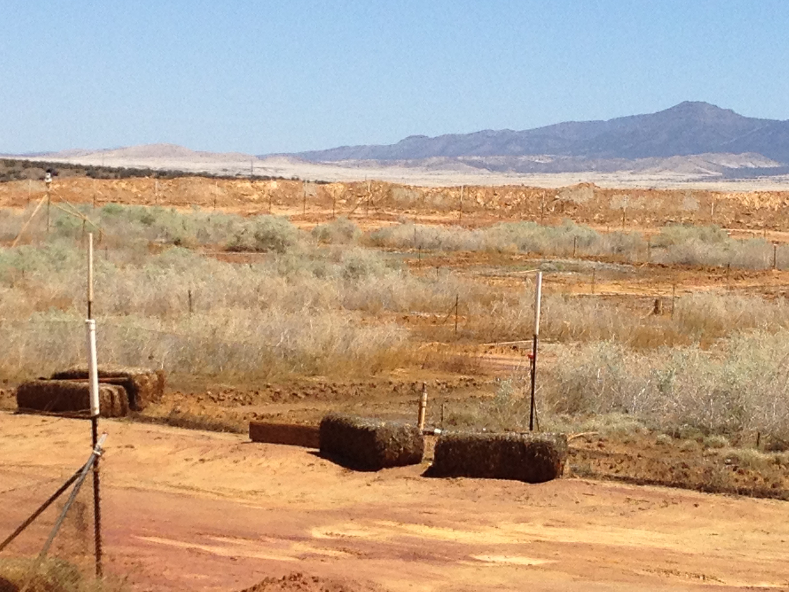 Photo of successful revegetation on compost-amended, highly pyritic, metal(loid) contaminated mine tailings at the Iron King Mine Federal Superfund site in Dewey-Humboldt, Arizona.