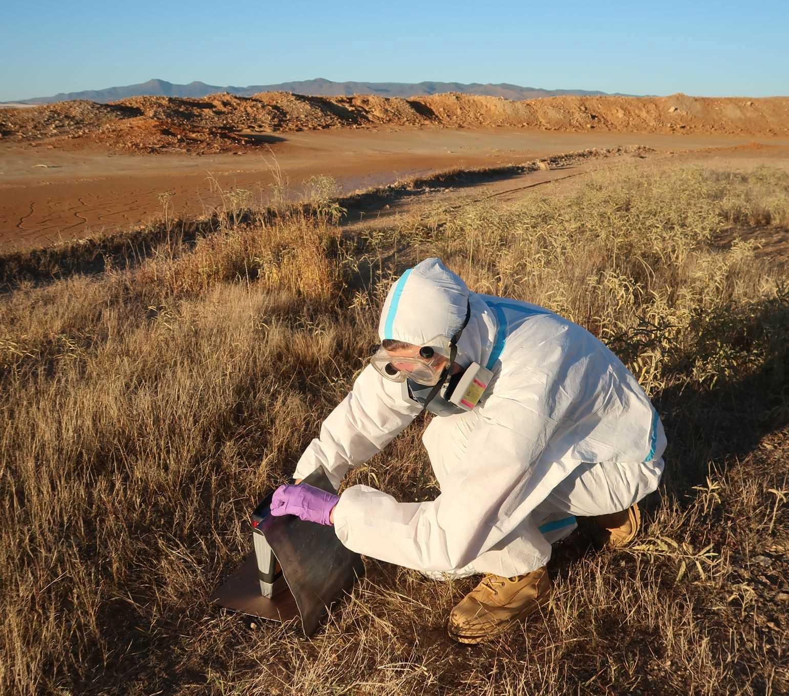 Student is screening the vegetation to identify potential metal hyperaccumulators at a legacy mine site in Arizona using an x-ray fluorescence analyzer.  
