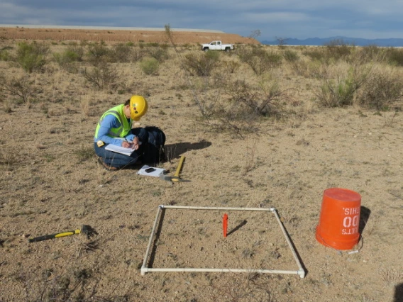 Photo of scientist collecting revegetation data with sampling quad.